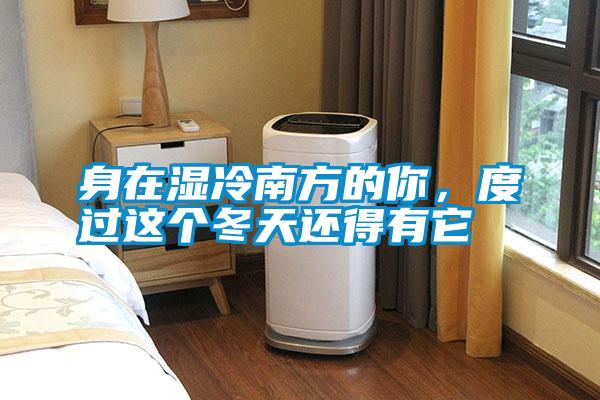 身在湿冷南方的你，度过这个冬天还得有它