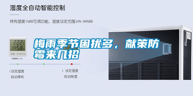 梅雨季节困扰多，献策防霉来几招