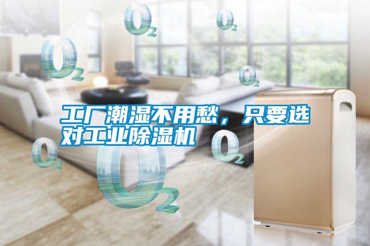 工厂潮湿不用愁，只要选对宝马电子游戏平台网址