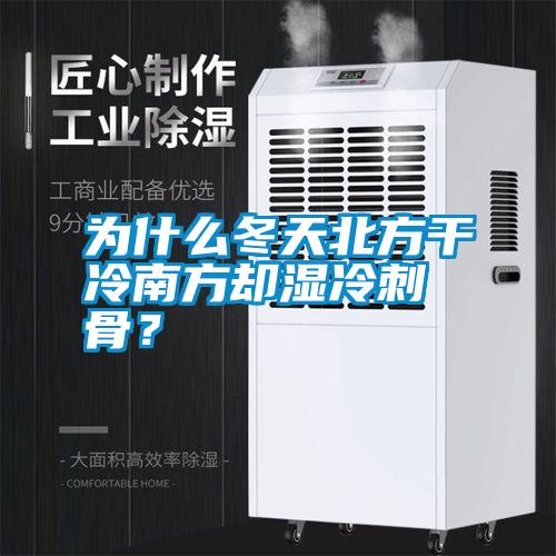 为什么冬天北方干冷南方却湿冷刺骨？