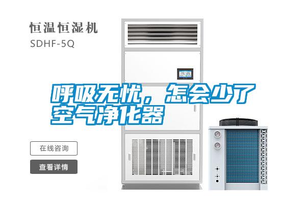 呼吸无忧，怎会少了空气净化器