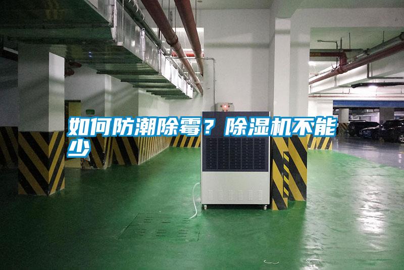 如何防潮除霉？除湿机不能少