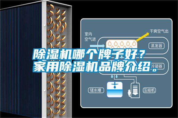 除湿机哪个牌子好？家用除湿机品牌介绍。