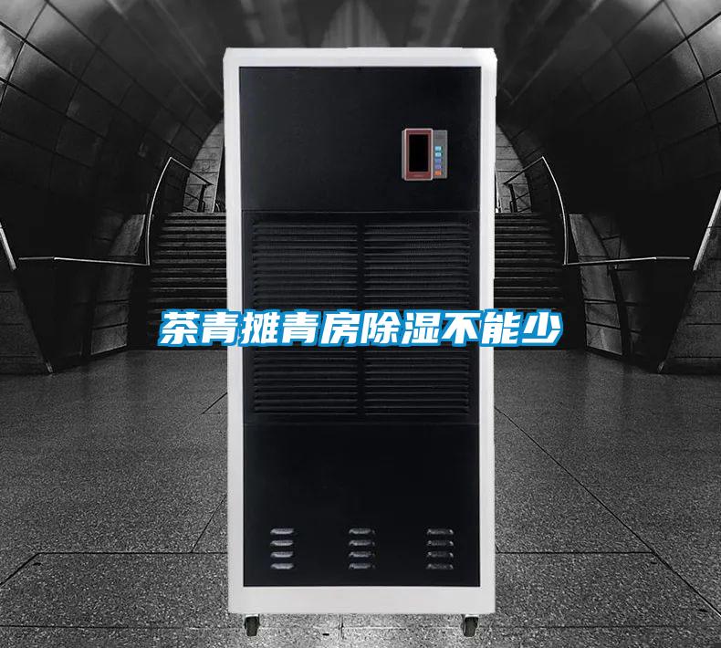 茶青摊青房除湿不能少
