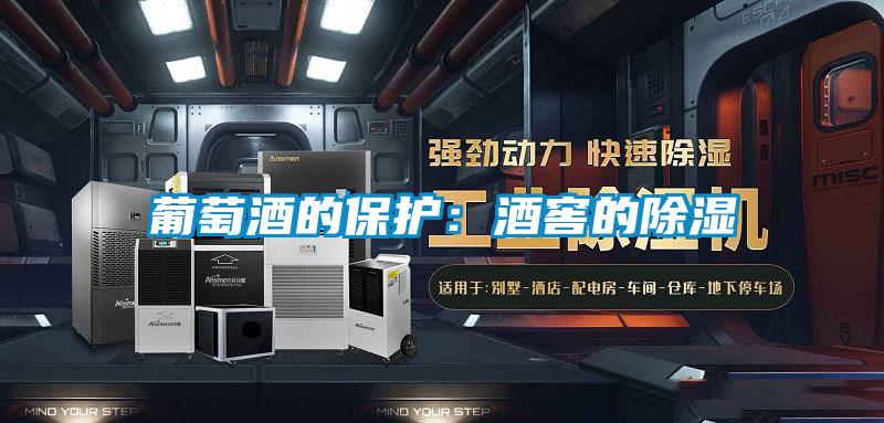 葡萄酒的保护：酒窖的除湿