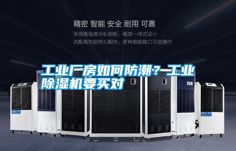 工业厂房如何防潮？宝马电子游戏平台网址要买对