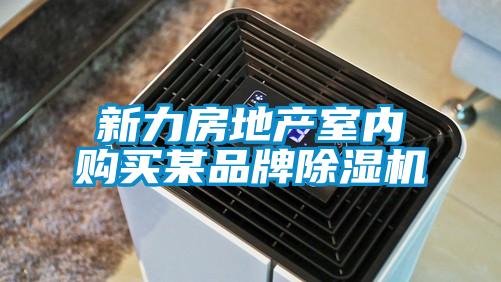 新力房地产室内购买某品牌除湿机