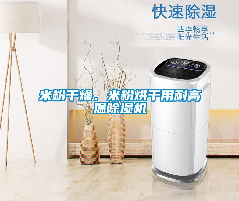 米粉干燥、米粉烘干用耐高温除湿机