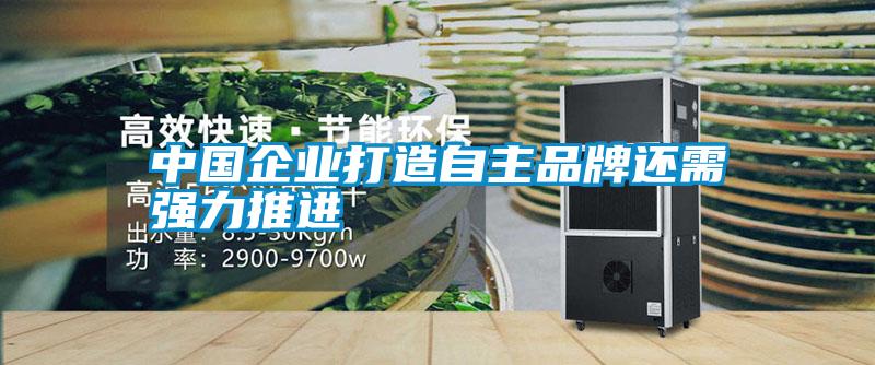 中国企业打造自主品牌还需强力推进