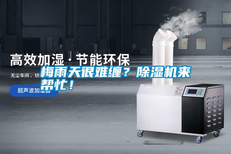 梅雨天很难缠？除湿机来帮忙！