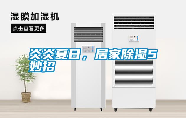 炎炎夏日，居家除湿5妙招