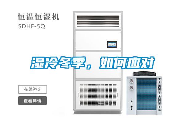 湿冷冬季，如何应对