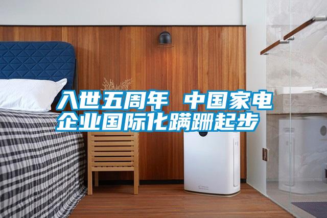 入世五周年 中国家电企业国际化蹒跚起步