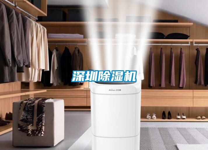 深圳除湿机