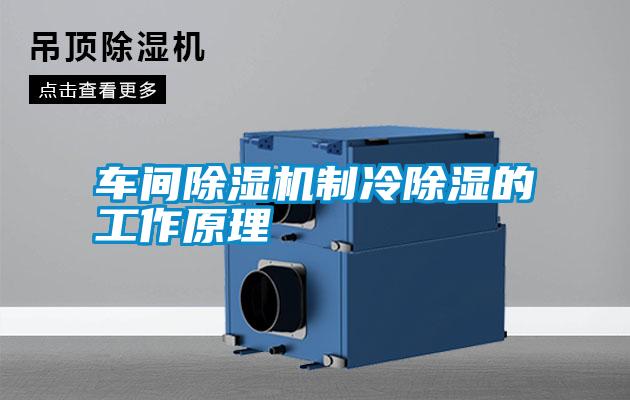 车间除湿机制冷除湿的工作原理