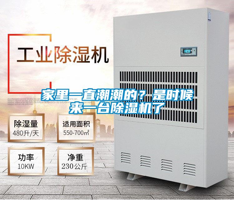 家里一直潮潮的？是时候来一台除湿机了