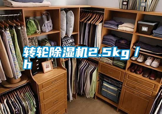 转轮除湿机2.5kg／h