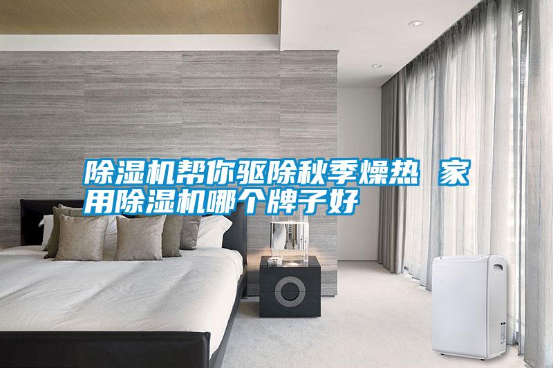 除湿机帮你驱除秋季燥热 家用除湿机哪个牌子好