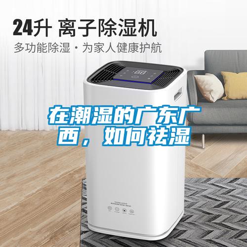 在潮湿的广东广西，如何祛湿