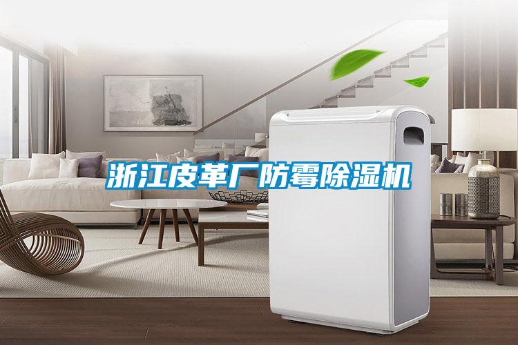 浙江皮革厂防霉除湿机