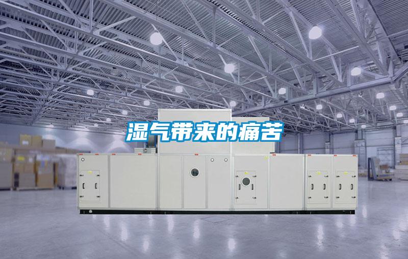 湿气带来的痛苦