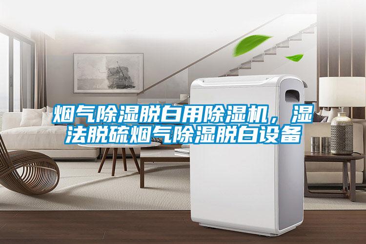 烟气除湿脱白用除湿机，湿法脱硫烟气除湿脱白设备