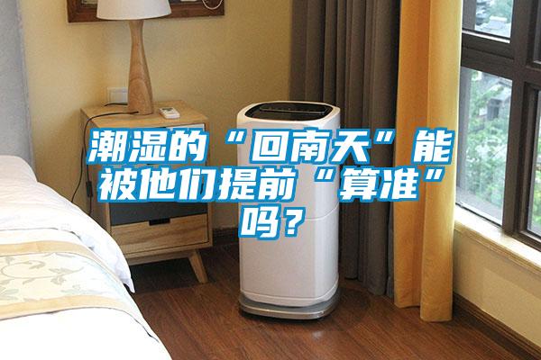 潮湿的“回南天”能被他们提前“算准”吗？
