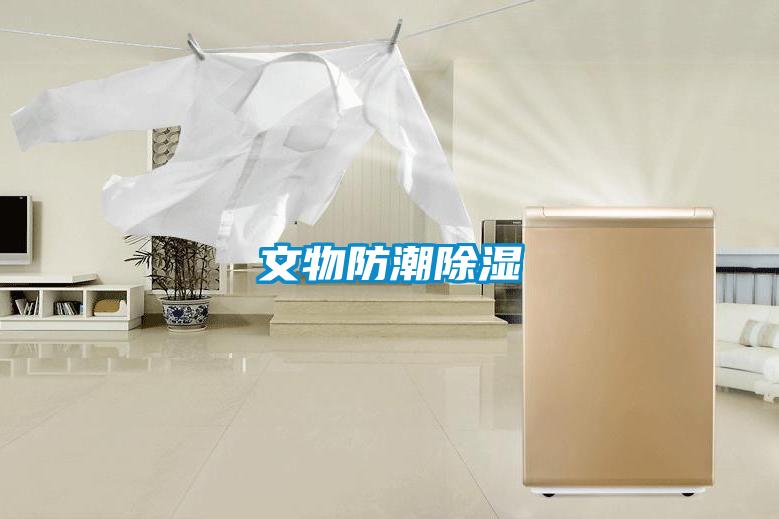 文物防潮除湿
