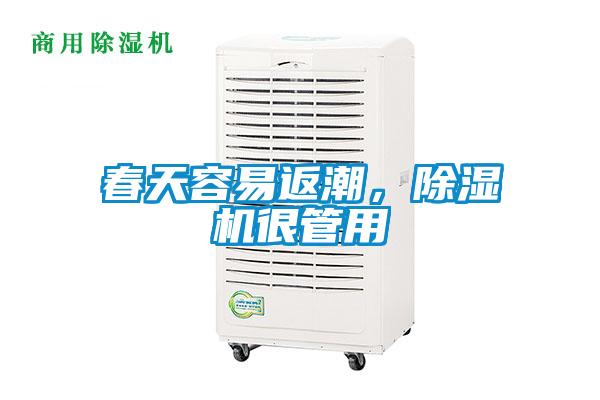 春天容易返潮，除湿机很管用
