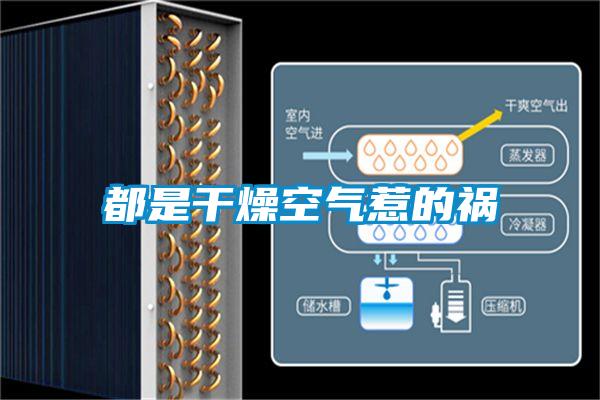 都是干燥空气惹的祸