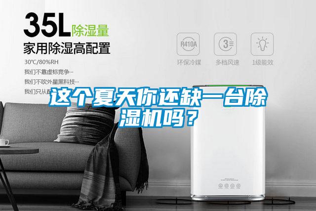 这个夏天你还缺一台除湿机吗？