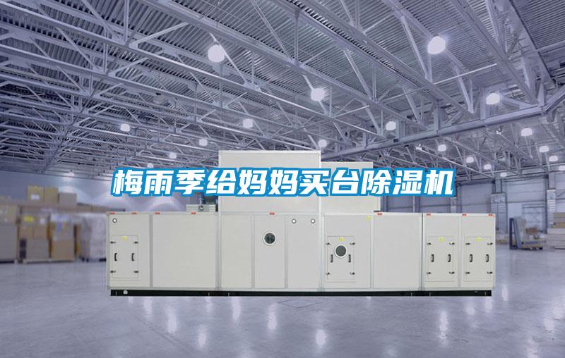 梅雨季给妈妈买台除湿机