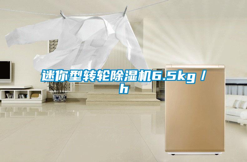 迷你型转轮除湿机6.5kg／h