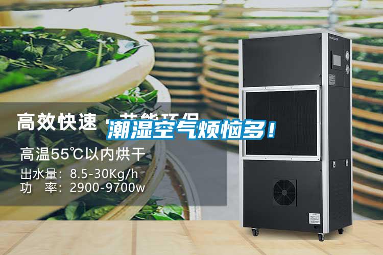 潮湿空气烦恼多！