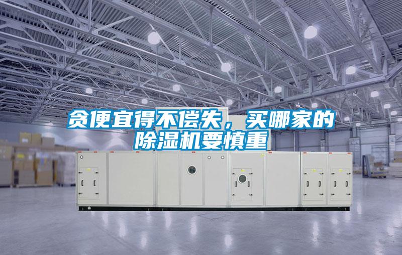贪便宜得不偿失，买哪家的除湿机要慎重