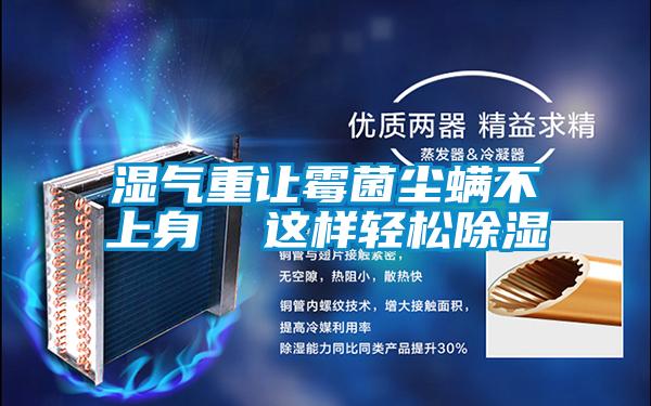 湿气重让霉菌尘螨不上身  这样轻松除湿