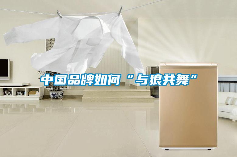 中国品牌如何“与狼共舞”