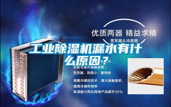 宝马电子游戏平台网址漏水有什么原因？