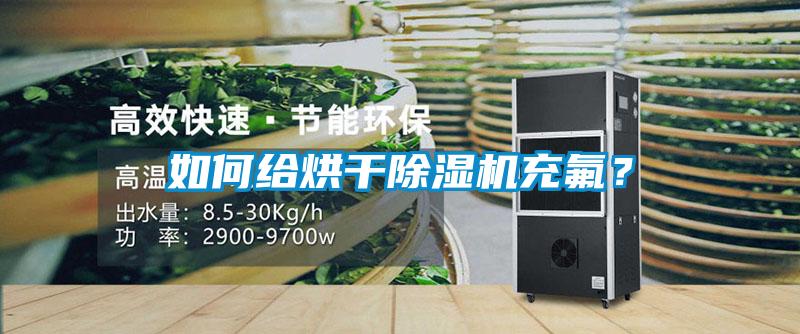 如何给烘干除湿机充氟？