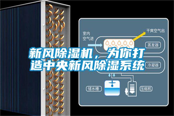 新风除湿机，为你打造中央新风除湿系统