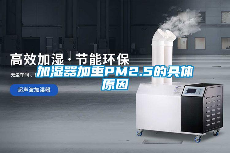 加湿器加重PM2.5的具体原因