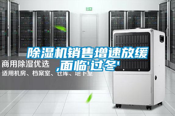 除湿机销售增速放缓,面临'过冬'