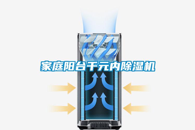 家庭阳台千元内除湿机