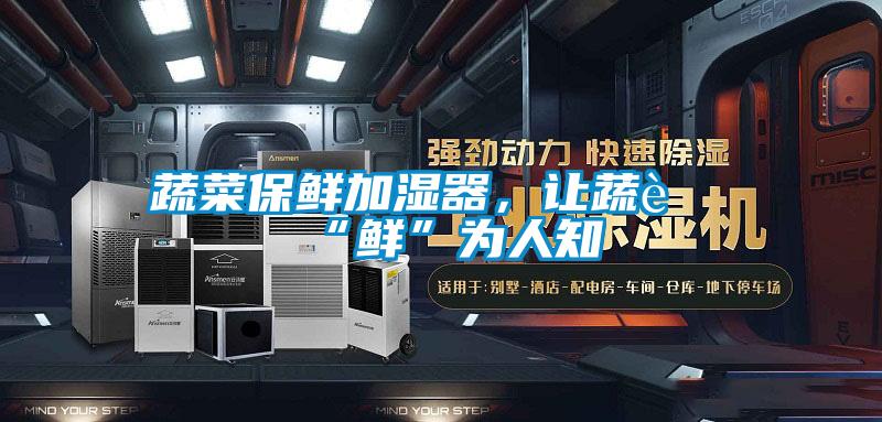 蔬菜保鲜加湿器，让蔬菜“鲜”为人知