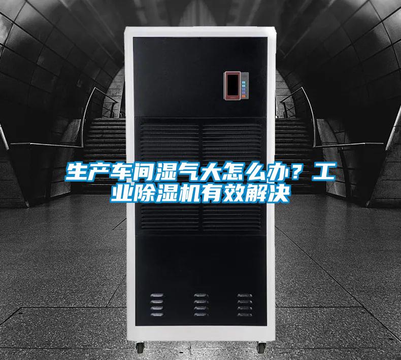 生产车间湿气大怎么办？宝马电子游戏平台网址有效解决