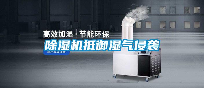 除湿机抵御湿气侵袭