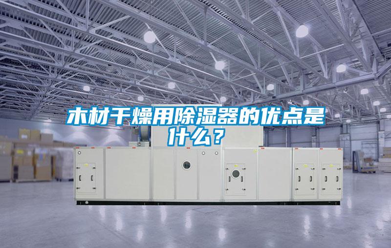 木材干燥用除湿器的优点是什么？