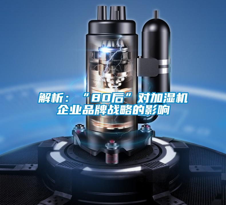 解析：“80后”对加湿机企业品牌战略的影响