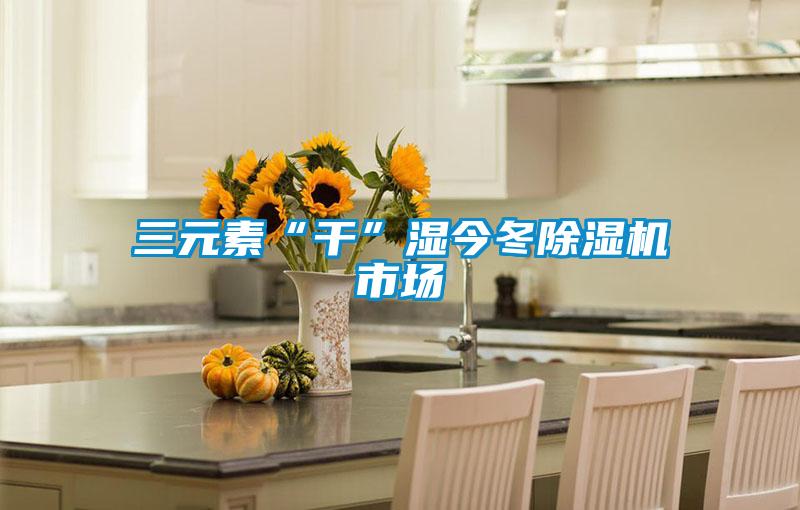 三元素“干”湿今冬除湿机市场