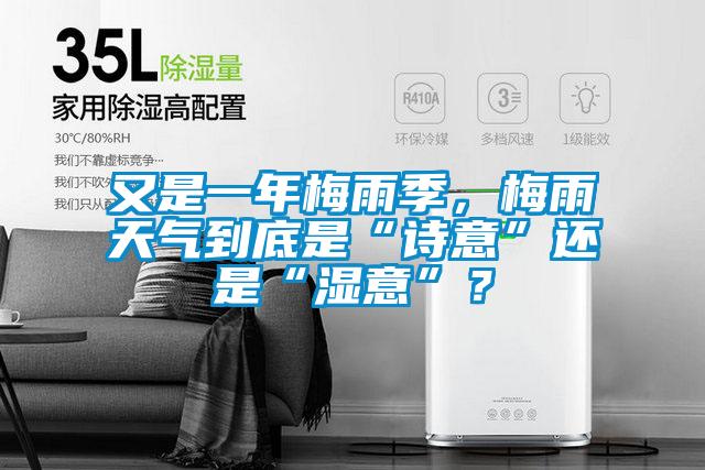 又是一年梅雨季，梅雨天气到底是“诗意”还是“湿意”？